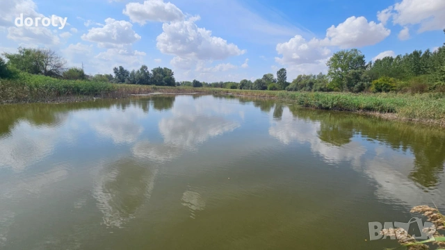 Язовир рибарник, снимка 4 - Земеделска земя - 53711235