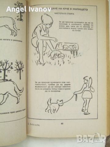Боби - хоби книга за кучета, снимка 4 - Енциклопедии, справочници - 45303397