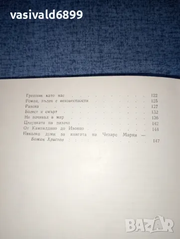 Чезаре Марки - Данте в изгнание , снимка 7 - Художествена литература - 47380586