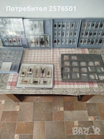 Буболечки и чудновати животинки , снимка 6 - Специализирана литература - 54082643