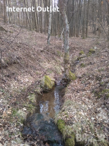 Парцел с жилищен фургон , снимка 6 - Парцели - 53607526