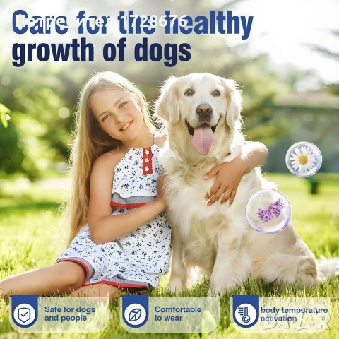 Успокояващ нашийник за кучета – Calming Collar, снимка 6 - За кучета - 53891076