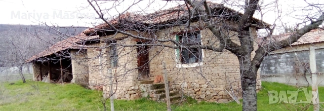 Дворно място с.Песнопой, снимка 2 - Парцели - 53637034