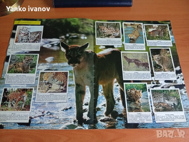 Спасете застрашените животни, снимка 4 - Филателия - 53964540
