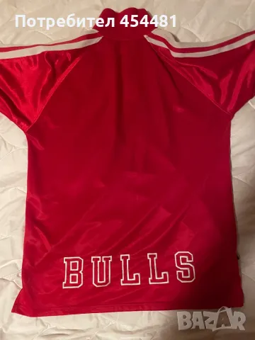 Champion Chicago Bulls vintage shirt , снимка 3 - Тениски - 47494523