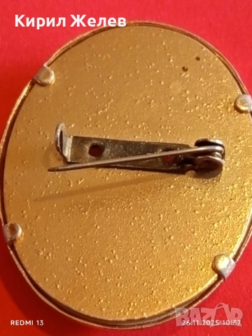 Брошка КАМЕЯ с релефна резба СЕДЕФ Викториански стил 50954, снимка 6 - Други - 52545948