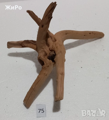 Корен от Азалия /декорация/ 75, снимка 6 - Други - 54102586