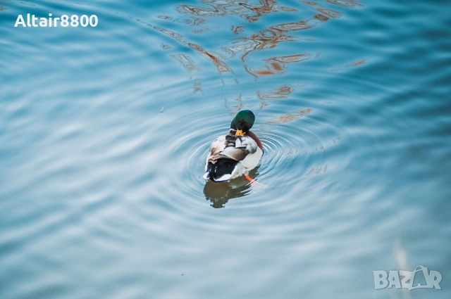 Tamron 18-200mm f3.5-6.3 XR Di II LD обектив Никон, снимка 5 - Обективи и филтри - 52517981