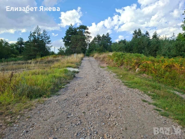 Предлагаме за продажба два парцела с. Мостово, сменен статут, ток и вода, снимка 6 - Парцели - 51446327