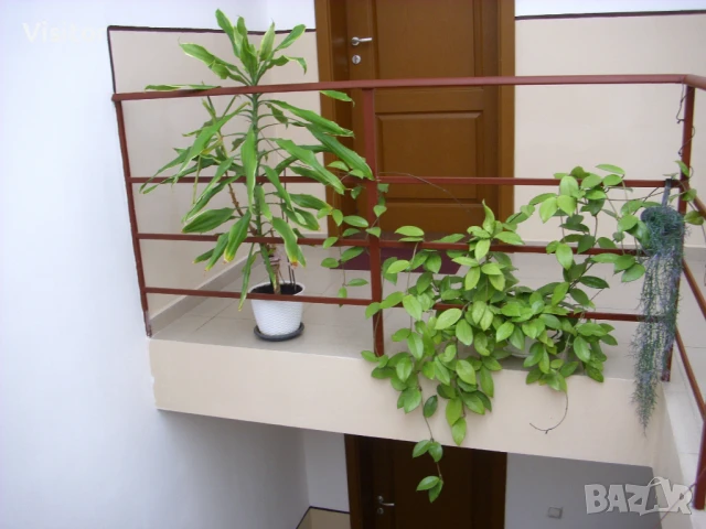 цифров фотоапарат AGFA PHOTO DC - 1033M   10MPx, снимка 14 - Фотоапарати - 51285083