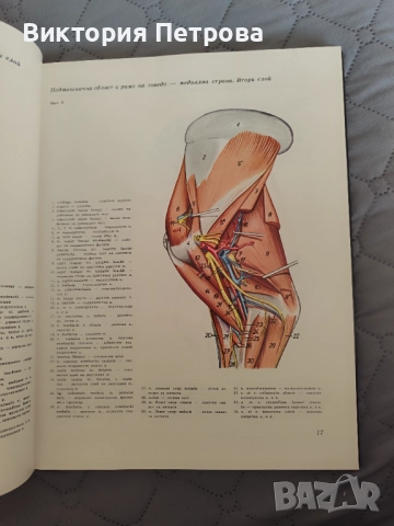 Атлас по топографска анатомия на селскостопанските животни Том 1, 2 и 3, снимка 12 - Специализирана литература - 52815137