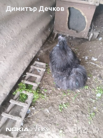 2 бр петлета