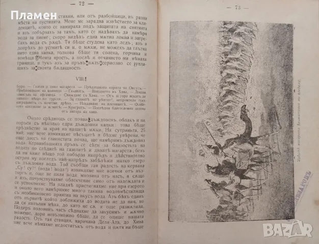 Пътуване по централна Азия А. Вамбери /1907/, снимка 4 - Антикварни и старинни предмети - 48782009