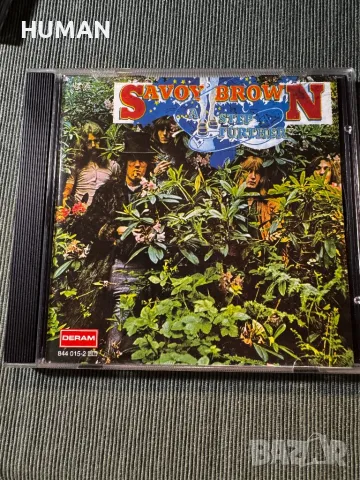 Jimi Hendrix - Savoy Brown , снимка 16 - CD дискове - 48262788