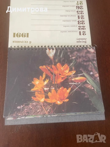 Календар настолен с цветя от 1991 г., настолен /стенен/ календар Roma 2015 г. със снимки от Ри, снимка 4 - Други ценни предмети - 50506222