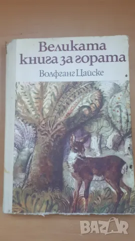 Великата книга за гората - Волфганг Цайске, снимка 1 - Детски книжки - 47053582