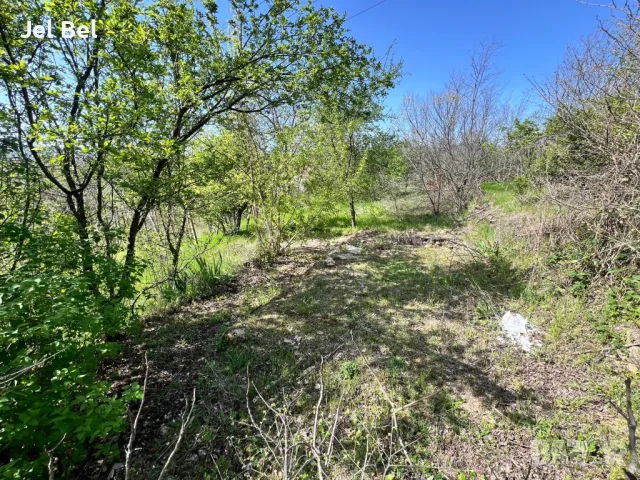 Парцел 557 кв.м. в Казанлък Вилна Зона ”Старите лозя” зад Художествената Гимназия, снимка 10 - Парцели - 47882192