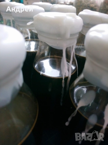 cold bru coffee , снимка 3 - Други - 52572959