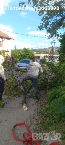 Хамалски услуги Аварийната Група тел.+359896994546 , снимка 2 - Транспортни услуги - 45932620