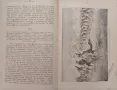 Пътуване по централна Азия А. Вамбери /1907/, снимка 4