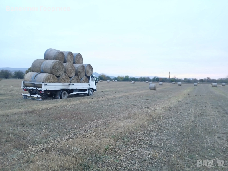 бали Слама, снимка 1