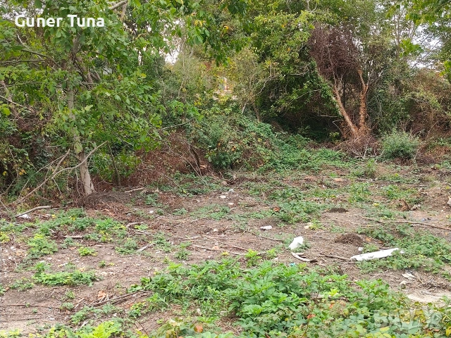 Три съседни парцела в с.Тополи Варна, снимка 2 - Парцели - 53739284