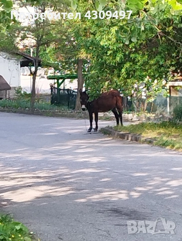 Електрическо АТV 1500W, снимка 5 - Друга електроника - 53592047