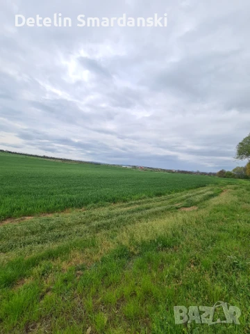 Поземлен земеделски имот , снимка 8 - Земеделска земя - 50649780