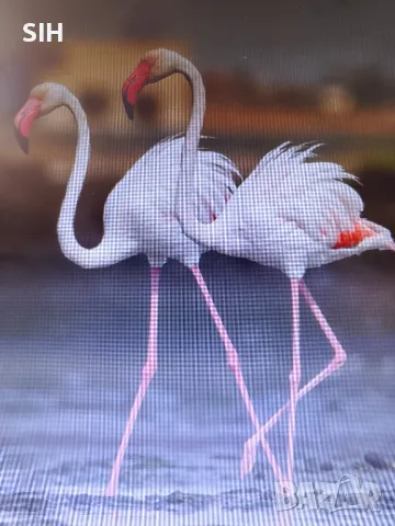 Довършителни ремонти и ВиК