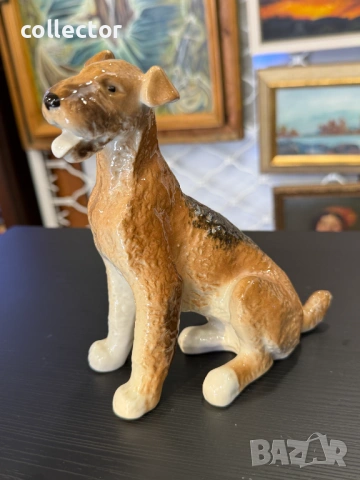 Порцеланово куче от породата Еърдейл ЛФЗ. №7916