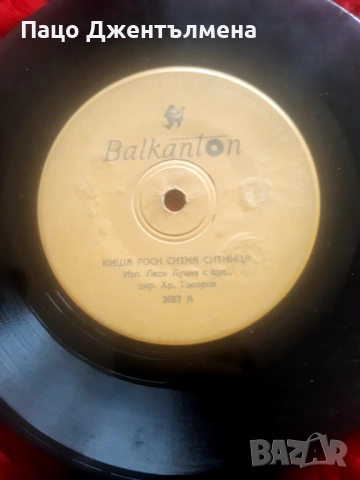 Грамофони плочи  , снимка 4 - Грамофонни плочи - 51569566