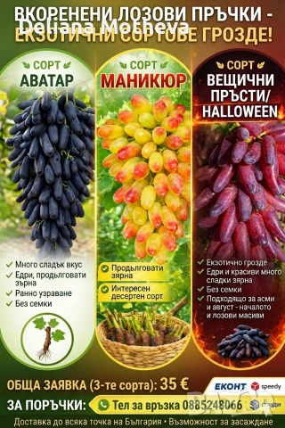 Аватар , Маникюр и Вещични пръсти ,обща заявка (от 3-те сорта по един)