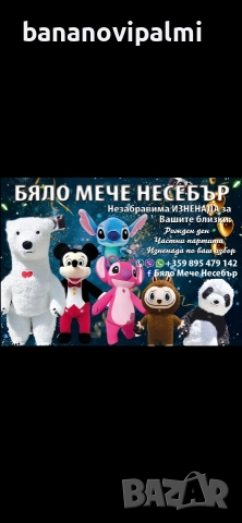 Изненада с Гигантска Бяла мечка , снимка 9 - Аниматори, танцьори, статисти… - 52924000