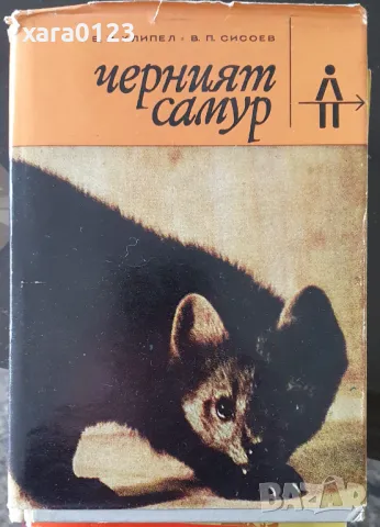 Черният самур Владимир Клипел, Всеволод Сисоев, снимка 1 - Художествена литература - 49374759