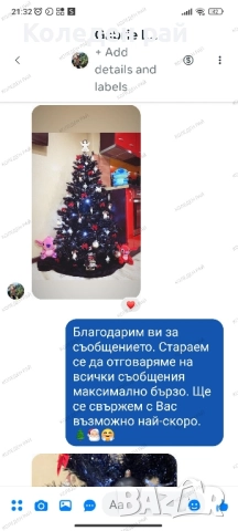 Черна елха Енигма с тънък клон , снимка 4 - Декорация за дома - 52353376