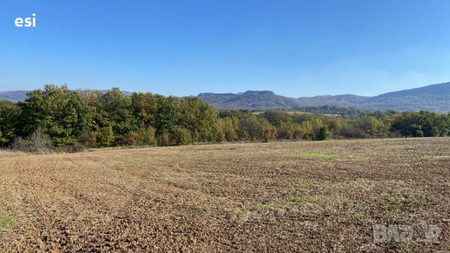 50 ДЕКАРА ЗЕМЕДЕЛСКА ЗЕМЯ област Варна, общ. Дългопол - 100 ЛВ/рента - Авансово Платена, снимка 4 - Земеделска земя - 52128235