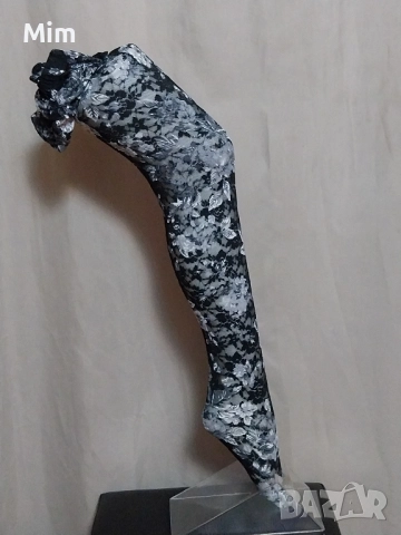 CALZEDONIA S/M Черен чорапогащник от дантела на бели рози , снимка 3 - Бельо - 51957468