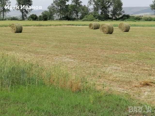 Ролонни бали люцерна, сено, снимка 5 - За селскостопански - 46713147