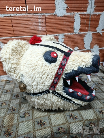 Глави на мечки . Голями, снимка 10 - Други стоки за животни - 52850788