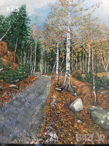 Късна есен на Витоша