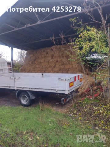 Продавам Бали Люцерна !, снимка 3 - За селскостопански - 52836781