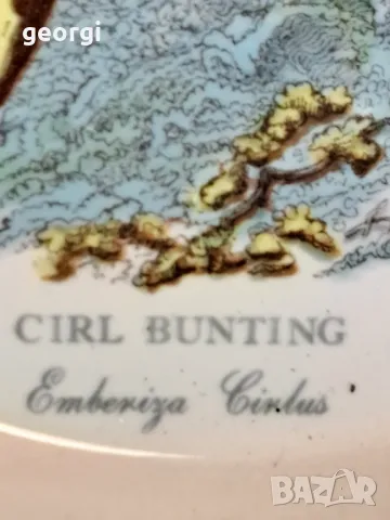 английска порцеланова чиния с птица Portmeirion  25/2, снимка 3 - Антикварни и старинни предмети - 50035353
