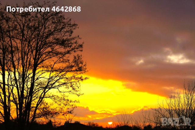 Фотографски услуги за заснемане на вашите щастливи поводи: