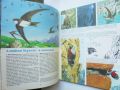 Книга Тайните на животните. Том 3: В планините; В саваните - Мишел Кюизен 1992 г., снимка 3