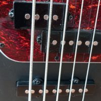 Бас 5 стр. PJ bass, снимка 2 - Китари - 45624346