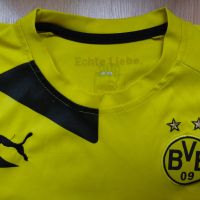 BVB Borussia Dortmund / Puma - детска футболна тениска на Борусия Дортмунд, снимка 8 - Детски тениски и потници - 45656972