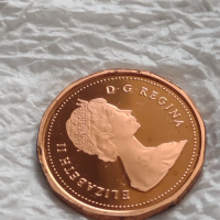 Лот монети 12 броя Канадски долари, центове непипани мат гланц перфектно състояние 42635, снимка 13 - Нумизматика и бонистика - 45021157