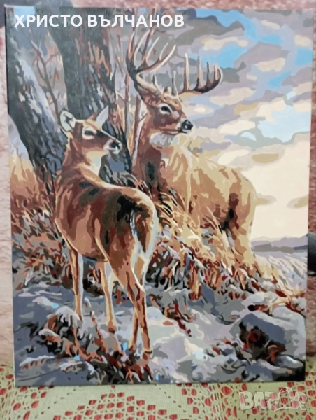 КАРТИНИ, снимка 1