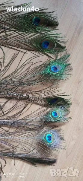 	Паунови пера-2,50лв, снимка 1