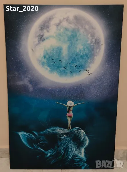 Светеща картина с LED осветление - жена о котка, снимка 1